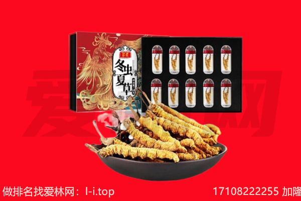 长治市回收虫草.jpg